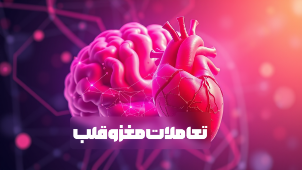 تعاملات مغز و قلب