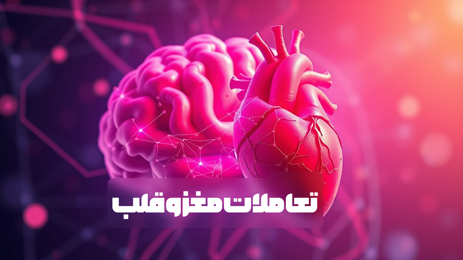تعاملات مغز و قلب